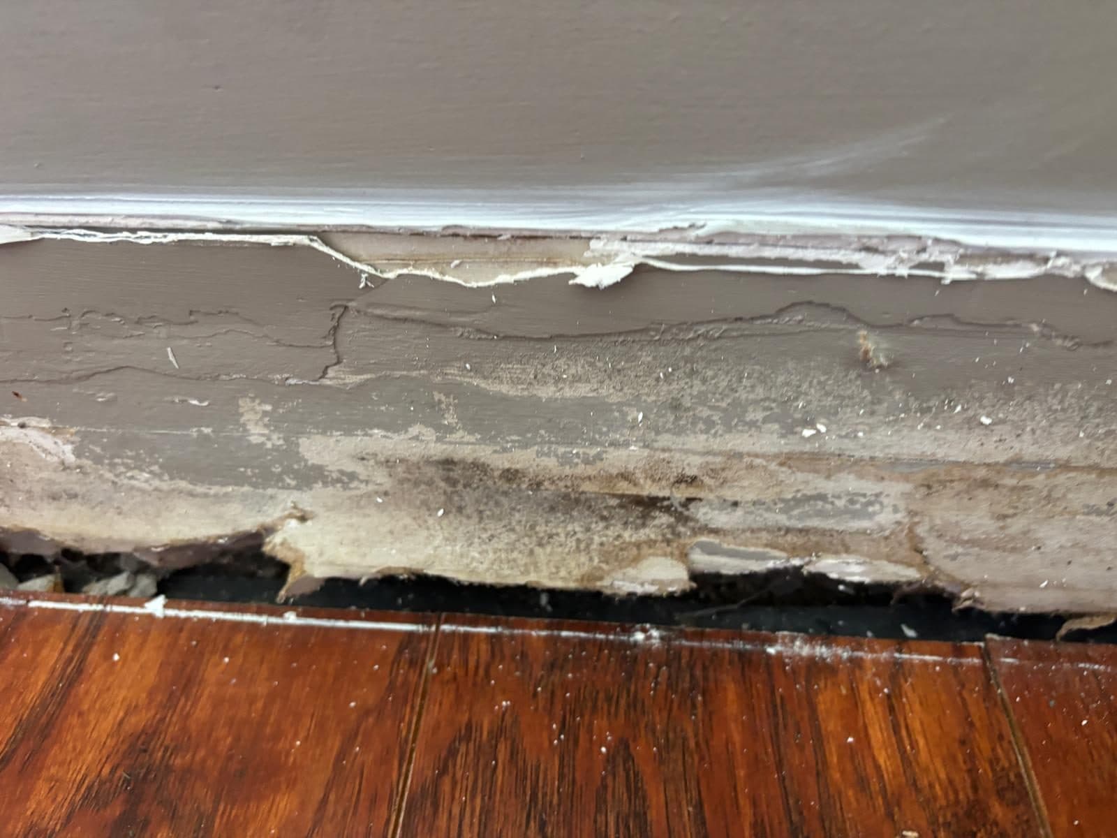 Mold Inspection and Remediation — real job photo 1